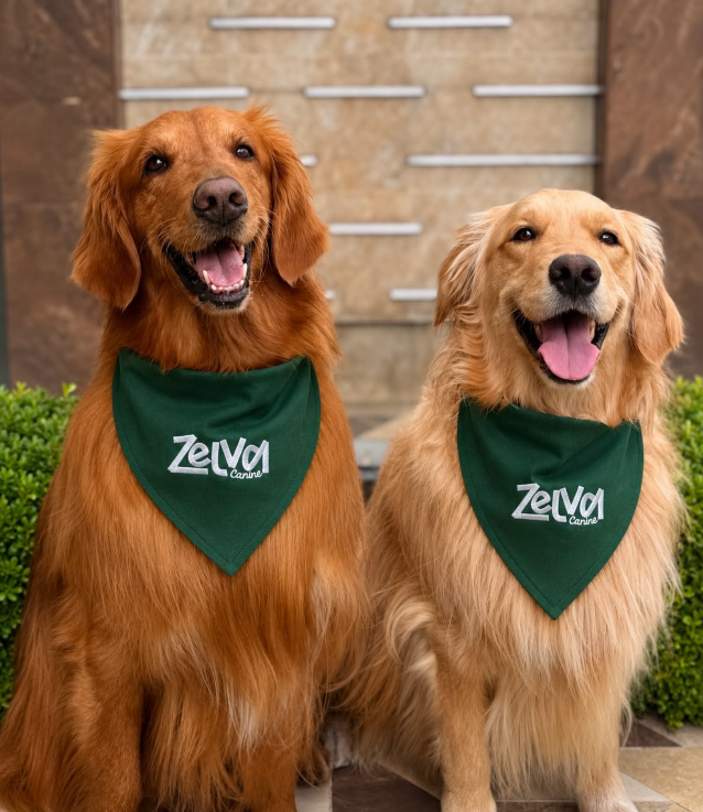 Porfirio y Xaviera, clientes de Zelva Canine.