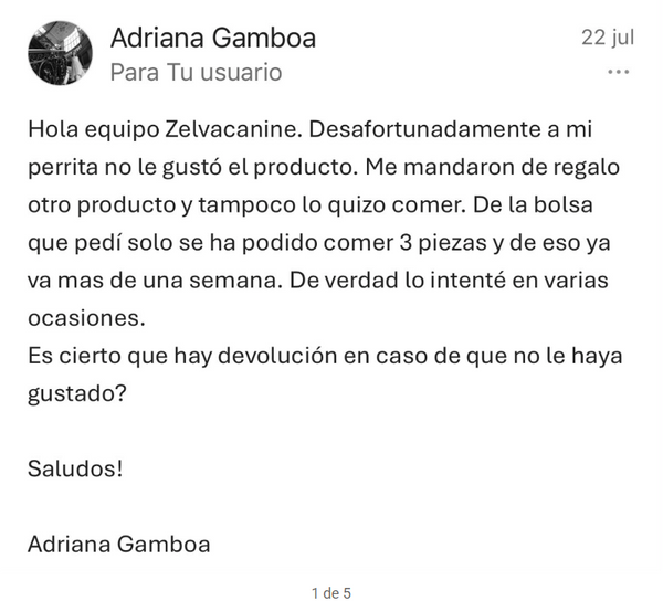 Conversación de devolución