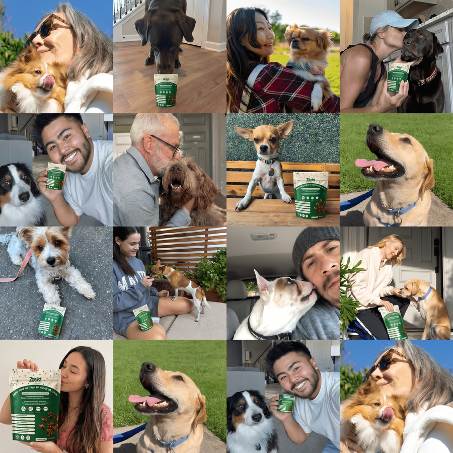 Mobility Chews