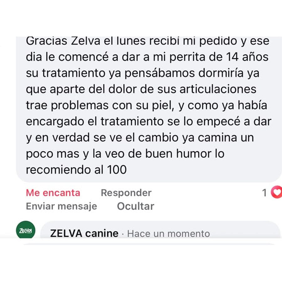 Comentario de un cliente: su perrita de 14 años camina mejor