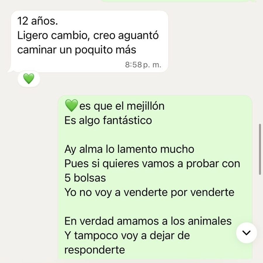Mensaje de WhatsApp: ligero cambio, aguantó caminar más