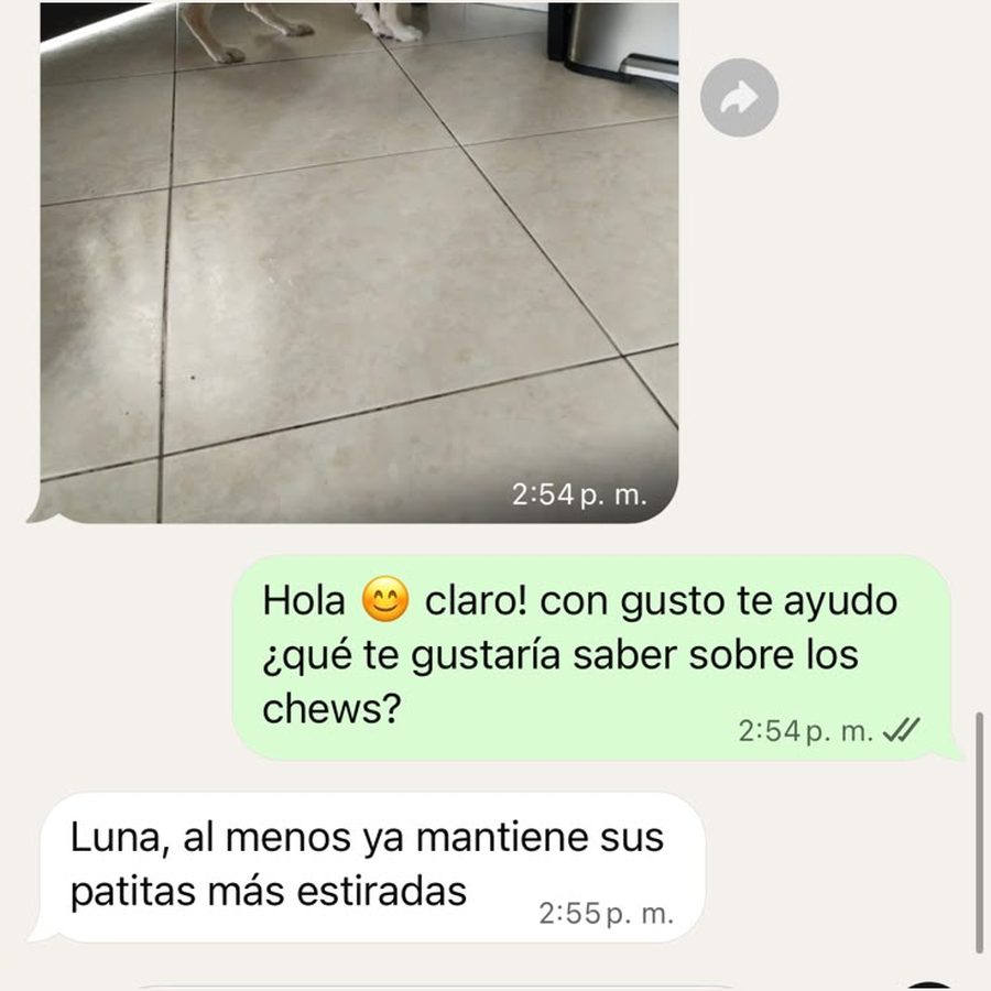 Mensaje de WhatsApp: ya mantiene sus patitas más estiradas